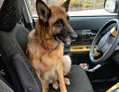 Abandoned, Ill Senior, Ariel is finally enjoying life!
