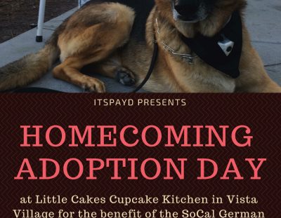 Homecoming Adoption Day – by ITSPAYD – April 8!