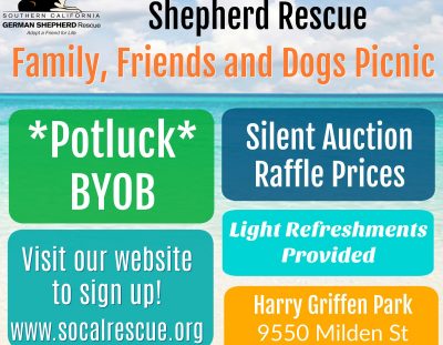 Friends & Family Picnic 2017 – RSVP Now!