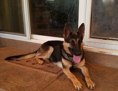 Sage Adopted!