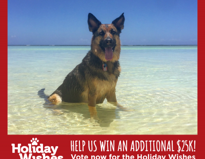 Help SCGSR Win $25k – Petco Holiday Wishes Campaign