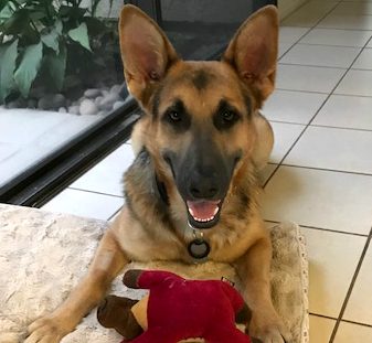 Hunter Adopted!
