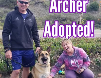 Archer Adopted!