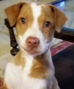 luna-foster-1-portrait