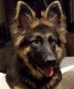 xena-portrait