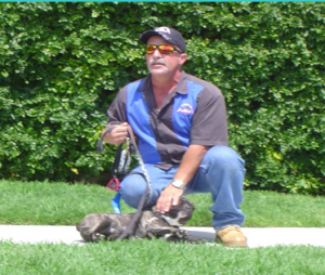 American Canine Training -- Chris Moredock
