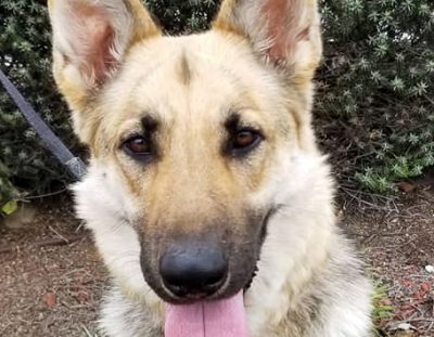 Kona Adopted!