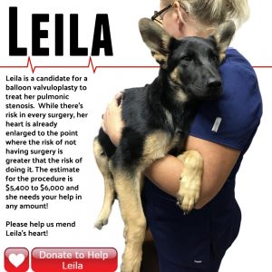 Help us save Leila's life!